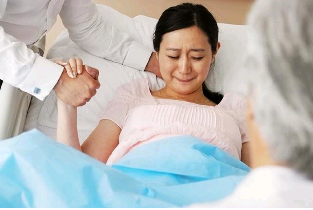 捐卵包成功_捐献卵子网站|试管婴儿过程经历多久可以结束